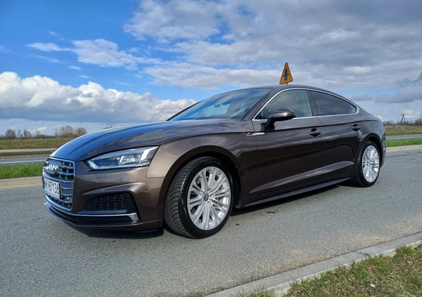 Audi A5 cena 138375 przebieg: 80070, rok produkcji 2017 z Wyszków małe 106